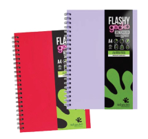 Flashy Gecko Sketchbooks