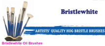 DR Bristlewhite Brushes