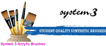 DR System 3 Heavy Body Zip Case 10 brush LH 5011386098579