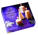 HOUSE OF CRAFTS SOY WAX CANDLE CRAFT KIT HC560