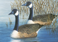 R&L GEESE LARGE PAINT BY NUMBERS PAL35