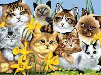 R&L CATS MONTAGE JUNIOR PAINT BY NUMBERS PJL6