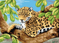 R&L LEOPARD IN TREE JUNIOR PAINT BY NUMBERS PJL11