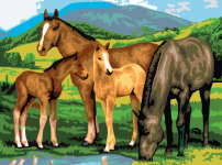 R&L HORSES & FOAL JUNIOR PAINT BY NUMBERS PJL13