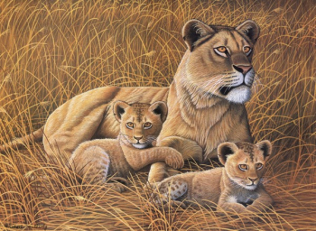 R&L AFRICAN LIONESS & CUB JUNIOR PAINT BY NUMBERS PJL26