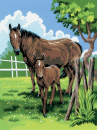 R&L MARE & FOAL SMALL JUNIOR PAINT BY NUMBERS PJS21