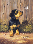 R&L DACHSHUND PUPPY SMALL JUNIOR PAINT BY NUMBERS PJS51
