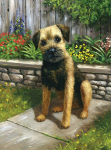 R&L GARDEN PUPPY SMALL JUNIOR PAINT BY NUMBERS PJS61