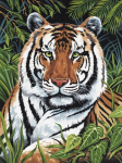R&L TIGER IN HIDING SMALL JUNIOR PAINT BY NUMBERS PJS75
