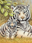 R&L WHITE TIGER PAIR SMALL JUNIOR PAINT BY NUMBERS PJS76