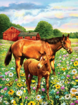 R&L HORSE IN FIELD SMALL JUNIOR PAINT BY NUMBERS PJS81