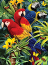 R&L MAJESTIC MACAWS SMALL JUNIOR PAINT BY NUMBERS PJS83