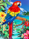 R&L SCARLET MACAW SMALL JUNIOR PAINT BY NUMBERS PJS92