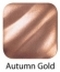 RUB 'N BUFF - AUTUMN GOLD 76372M