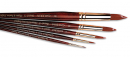 WN GALERIA S.H. ROUND BRUSH 12 5734012