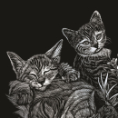 R&L TABBYCAT & KITTENS SCRAPERFOIL SILVER SILF13