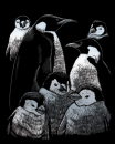 R&L PENGUINS 2 SCRAPERFOIL SILVER SILF37