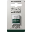 WN ARTIST WATERCOLOUR HALF PAN PERYLENE GREEN 0101460