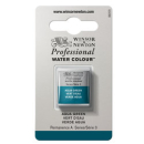WN ARTIST WATERCOLOUR HALF PAN AQUA GREEN (JEWEL) 0101697