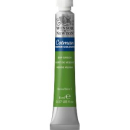 WN COTMAN SAP GREEN WATERCOLOUR 8ml 8840112