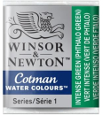 WN COTMAN WATERCOLOUR 1/2 PAN INTENSE GREEN 0301329