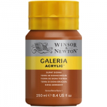 WN GALERIA 250ml 2137074 BURNT SIENNA