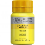 WN GALERIA 250ml 2137346 LEMON YELLOW