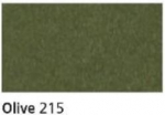 CANFORD PAPER A4 OLIVE 402290215