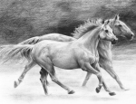 R&L SKETCHING MADE EASY - RUNNING FREE SKBN20