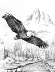 R&L SKETCHING MADE EASY - SOARING EAGLE SKBN28