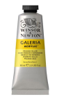 WN GALERIA 60ml 2120527 PROCESS YELLOW