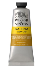 WN GALERIA 60ml 2120553 RAW SIENNA OPAQUE