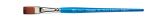WN S666 25MM 1" 5306125 COTMAN ONE STROKE BRUSH