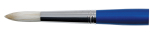 DR BRISTLEWHITE B24 2 ROUND BRUSH 207924002