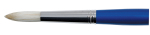 DR BRISTLEWHITE B24 6 ROUND BRUSH 207924006