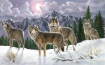 R&L WOLVES LARGE PAINT BY NUMBERS PAL19