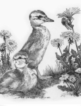 R&L SKETCHING MADE EASY - DUCK LINGS, DANDELION & BEE SKBN31