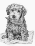 R&L SKETCHING MADE EASY - LABRADOODLE ON PILLOW SKBN33