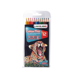 LAKELAND COLOURTHIN PENCIL WALLET OF 12 0700077