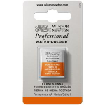 WN ARTIST WATERCOLOUR HALF PAN BURNT SIENNA 0101074
