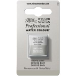 WN ARTIST WATERCOLOUR HALF PAN DAVY'S GRAY 0101217