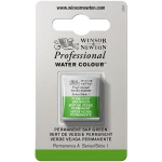 WN ARTIST WATERCOLOUR HALF PAN PERMANENT SAP GREEN 0101503