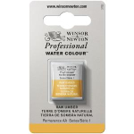 WN ARTIST WATERCOLOUR HALF PAN RAW UMBER 0101554