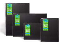 Splashy Gecko Sketchbooks