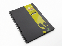 Shady Gecko Sketchbooks