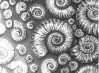 Derwent Academy Sketching Pencil Sets