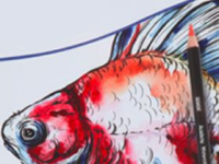 Derwent Academy Watercolour Pencil Sets