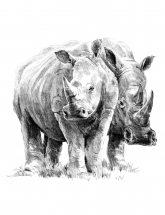 R&L SKETCHING MADE EASY - RHINO PAIR SKBN14