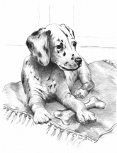 R&L SKETCHING MADE EASY - DALMATIAN PUP SKBN21