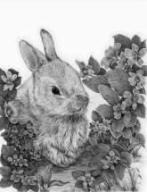 R&L SKETCHING MADE EASY - BUNNY IN VIOLETS SKBN30